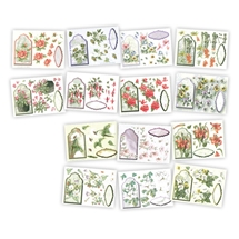3D Decoupage Kit - Flowers and Frames
