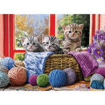 Knitting Kittens