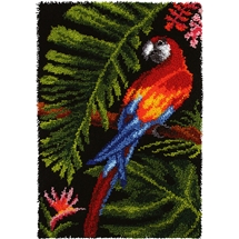 Colourful Macaw