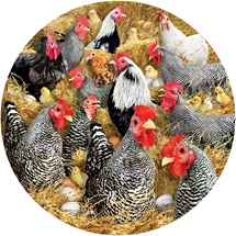 Family Chickens & Chicks 1000 pc Shaped Puzzle