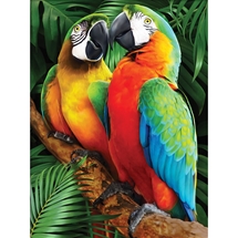 Macaws Diamond Painting