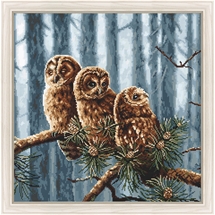 Owls Family