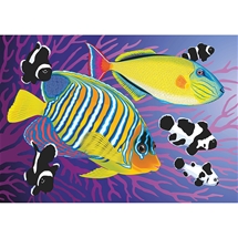 Colourful Fish Diamond Painting