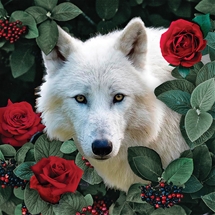 White Wolf & Roses