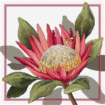 King Protea Counted Cross Stitch Chart