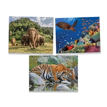 Save the Planet 1000pc