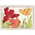 Tulip Blooms_63672_0